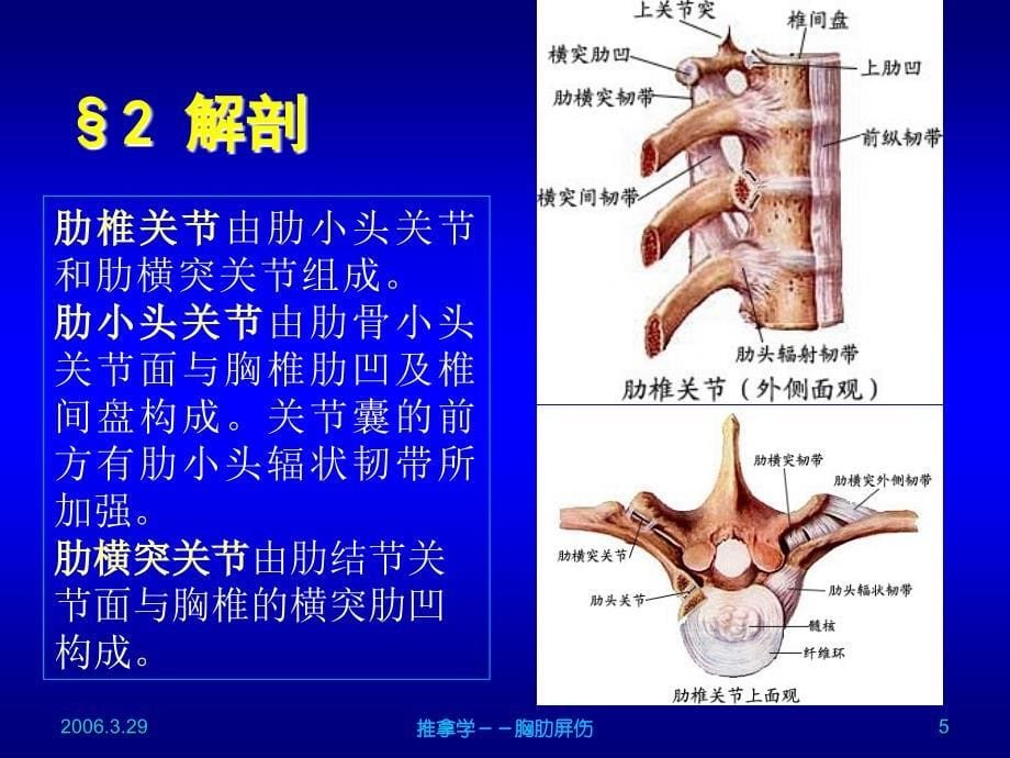 胸胁屏伤ppt课件_第5页