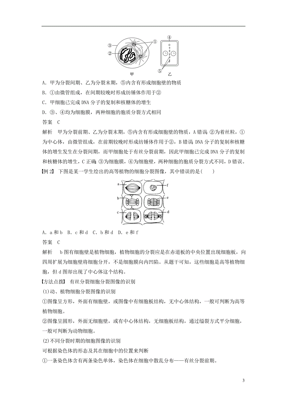 2018-2019版高中生物 第四章 细胞的增殖与分化 第一节 细胞的增殖 第2课时学案 浙科版必修1_第3页