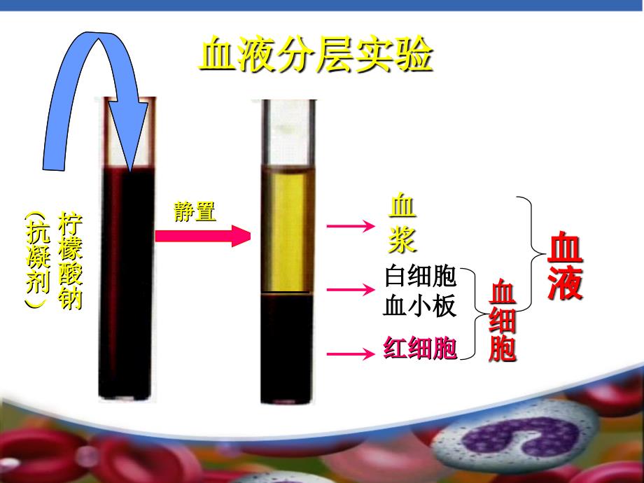 血液医学幻灯片_第4页