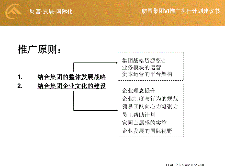 （2015企业文化）某集团vi推广执行计划建议书_第2页