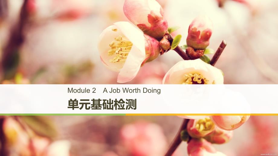 2018-2019版英语新导学同步外研必修五通用版课件：module 2 单元基础检测 _第1页