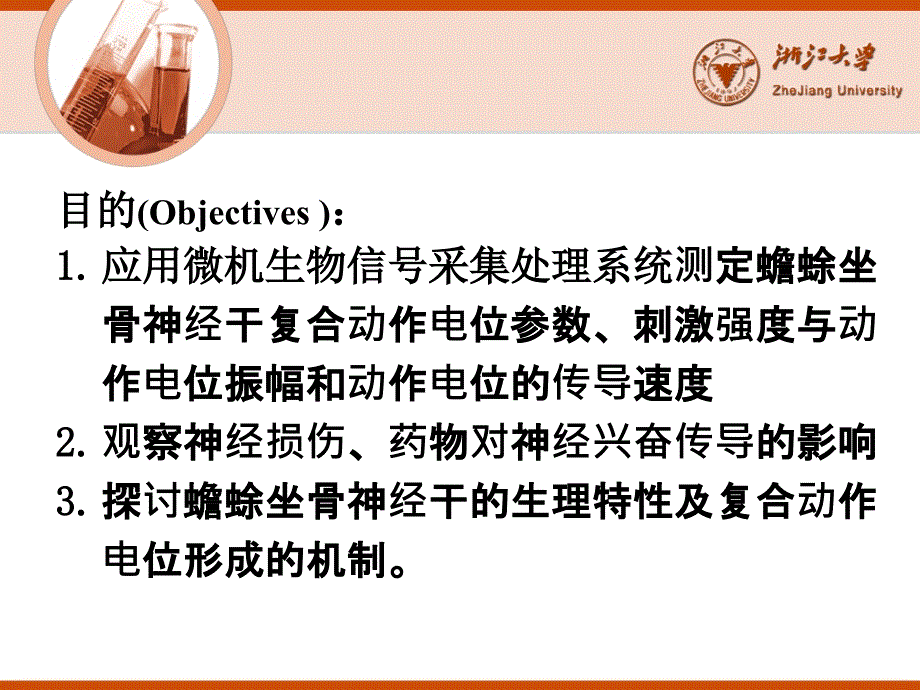 坐骨神经干课件_第2页