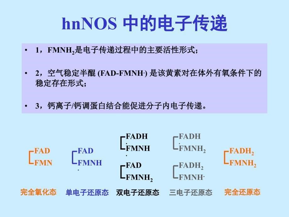 重组人神经型一氧化氮合酶课件_1_第5页