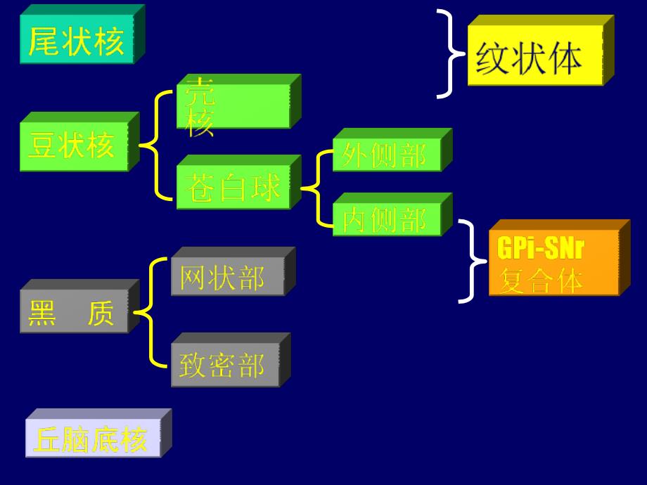 锥体外系疾病课件_2_第3页