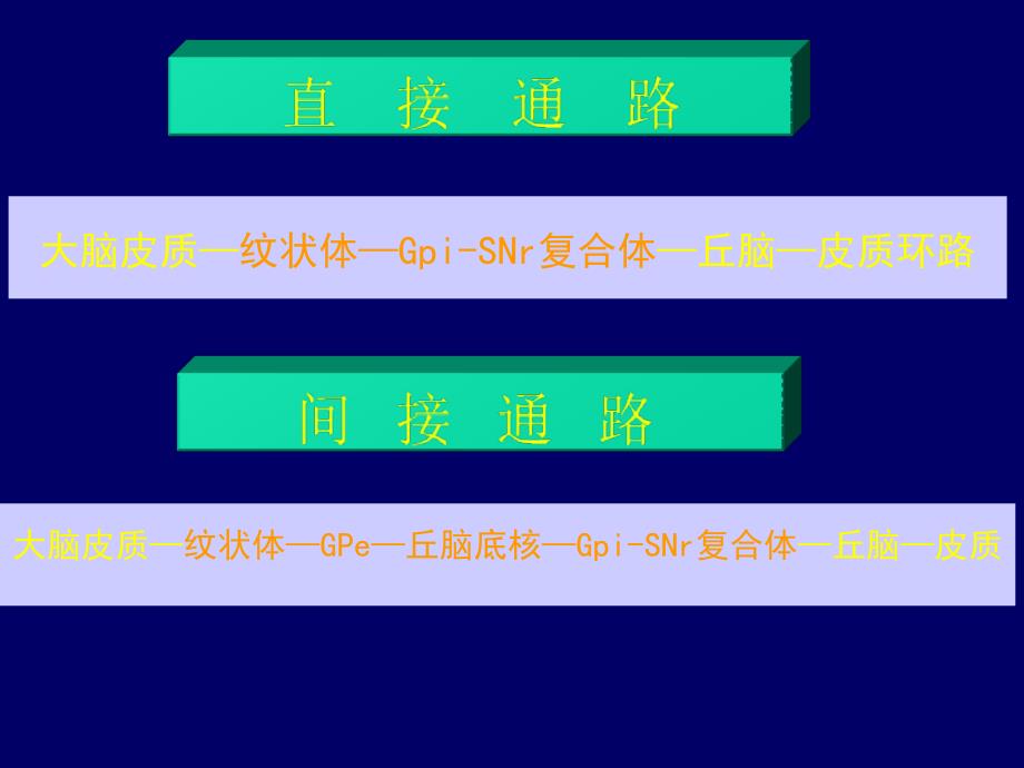 锥体外系疾病课件_2_第4页