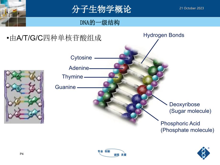 核酸血液筛查ppt课件_第4页