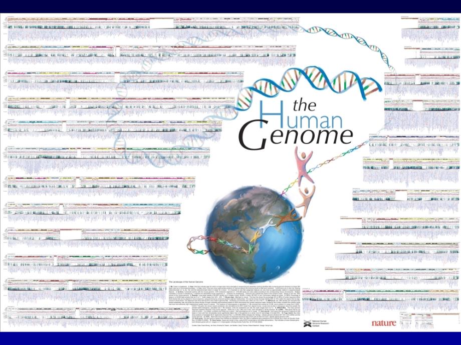 肿瘤基因组图谱及功能系统生物学_第4页