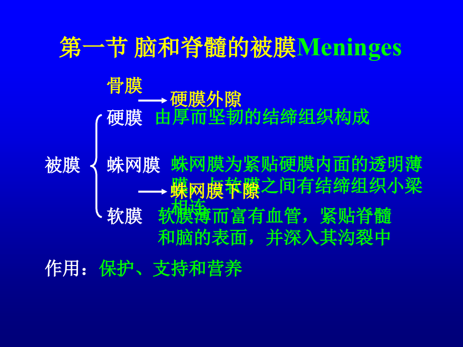 脑和脊髓的被膜血管及脑脊液循环课件_2_第3页