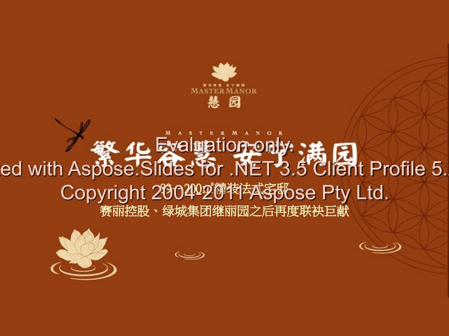 2011年杭州赛丽绿城慧晕项目产品研究课件_第2页