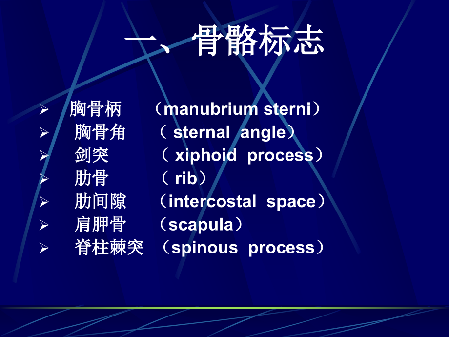 医学ppt课件胸部及肺检查（127p）_第4页