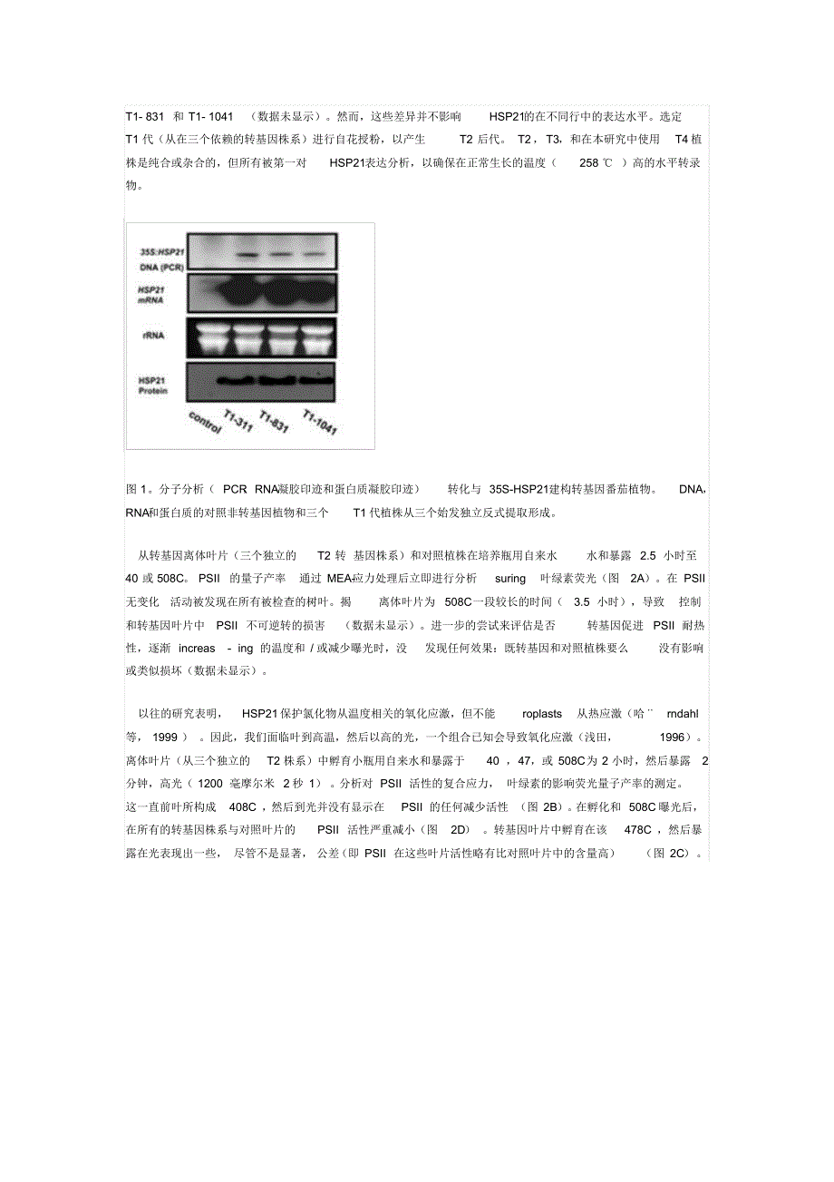 番茄热休克蛋白21的双重作用：保护光系统II的氧化压力,促进果实成熟过程中的颜色变化_第3页