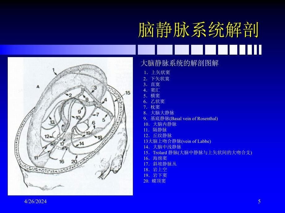 脑静脉和静脉窦血栓形成新进展ppt课件_第5页