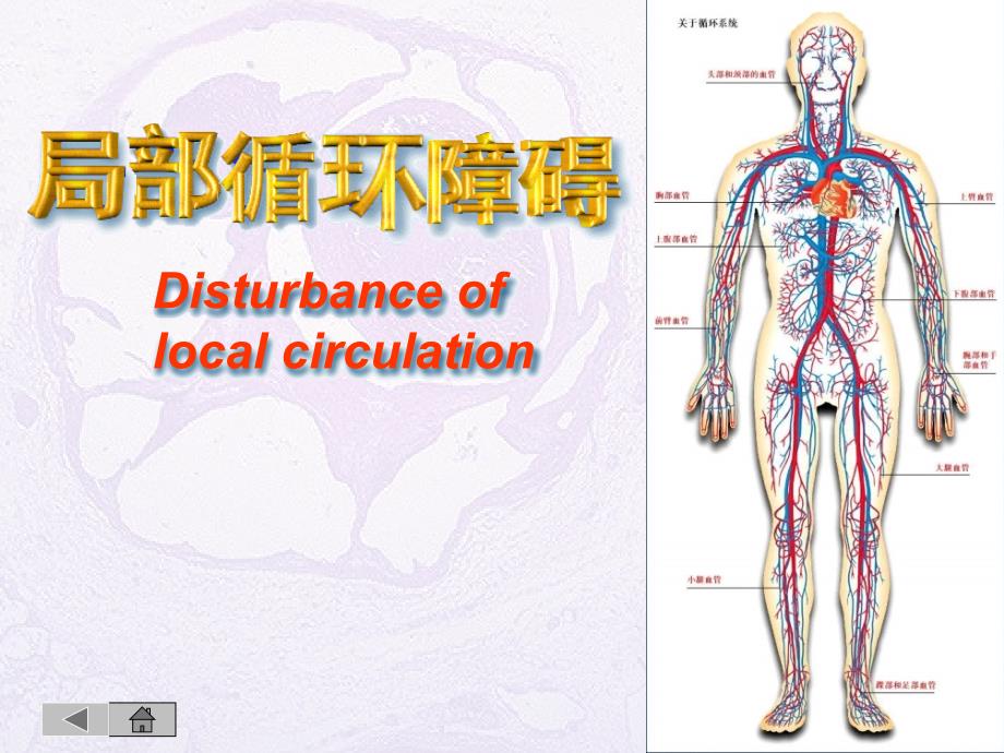 医学课件局部血液循环障碍_第1页