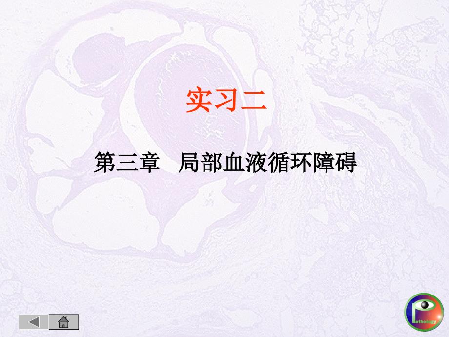 医学课件局部血液循环障碍_第2页