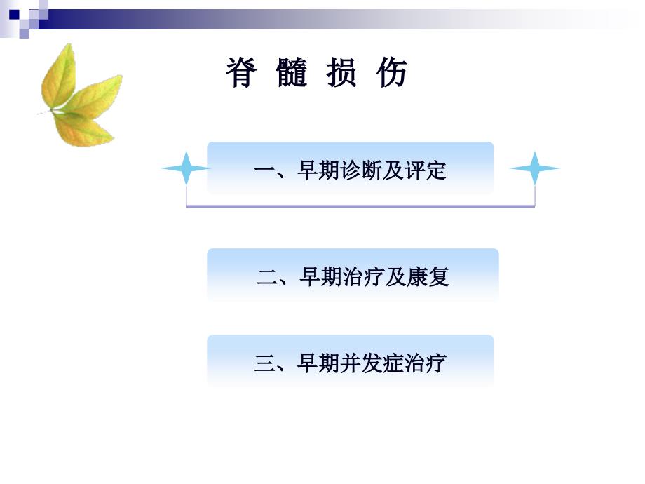 高敏老师 第九届学术会脊髓损伤的早期康复课件_第4页