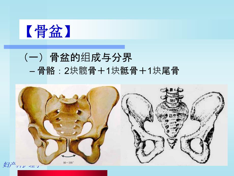 母婴护理孕期护理ppt课件_第2页