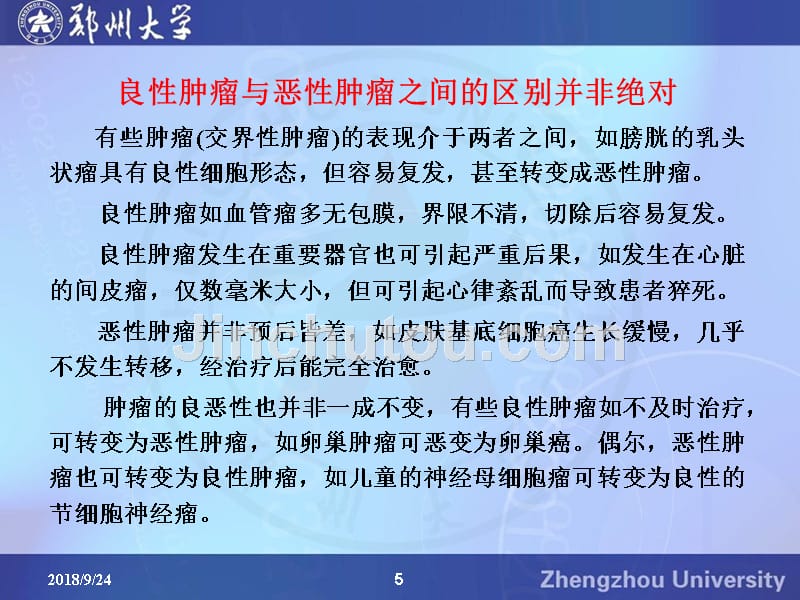 恶性肿瘤04650课件_第5页