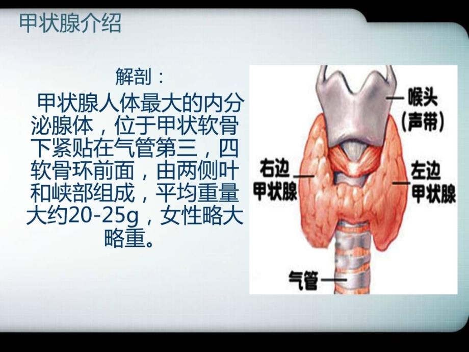 要讲的桥本甲状腺炎图文优质文档课件_第3页