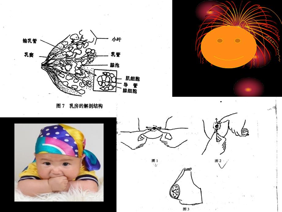 讲产褥期母保健乳喂养技巧及孕期乳房ppt ppt课件_第1页