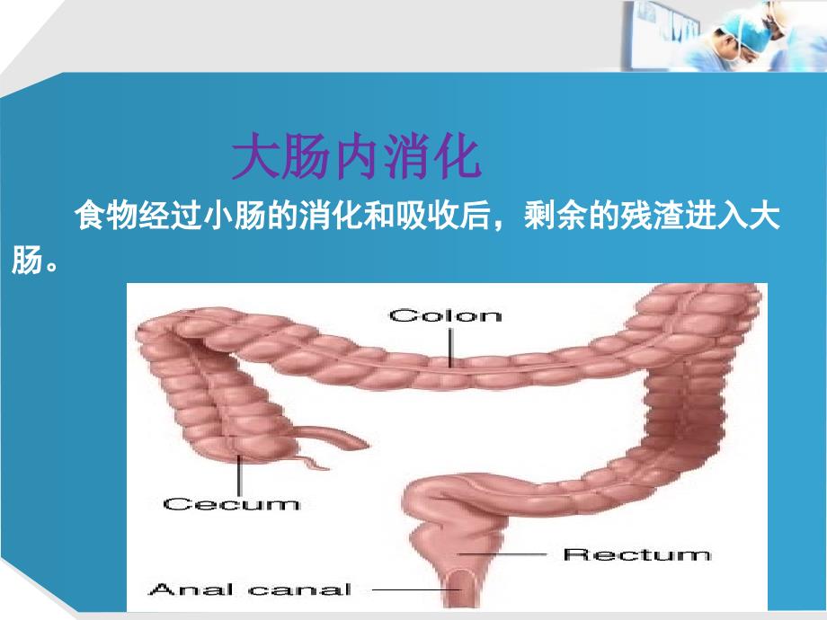 消化与吸收最新医学_第2页