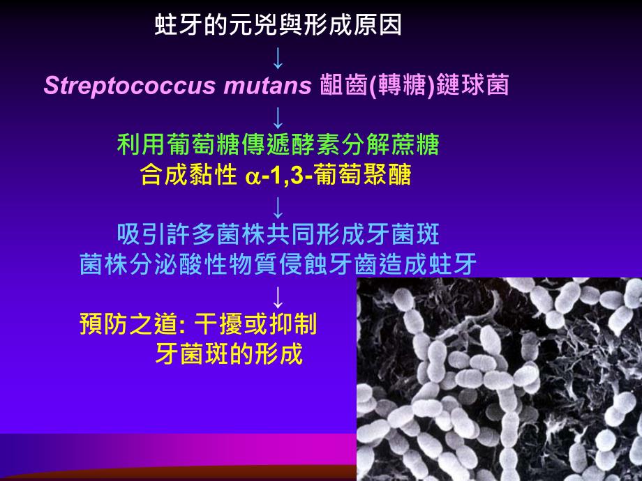 防止蛀牙產品開發_第2页