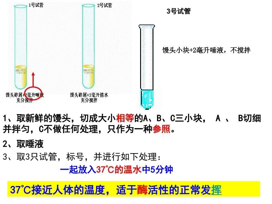 食物的消化与吸收ppt课件_第5页