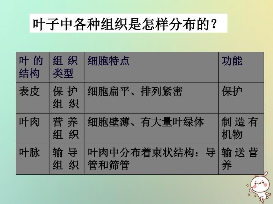 浙江省绍兴市诸暨市店口镇七年级科学上册 第2章 观察生物 2.3 生物体的结构层次课件2 （新版）浙教版_第5页