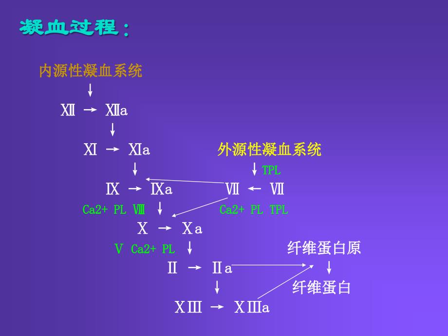 血液系统药物ppt课件_第2页