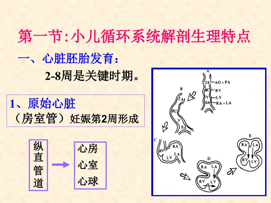 循环系统疾病总论ppt课件_1_第3页