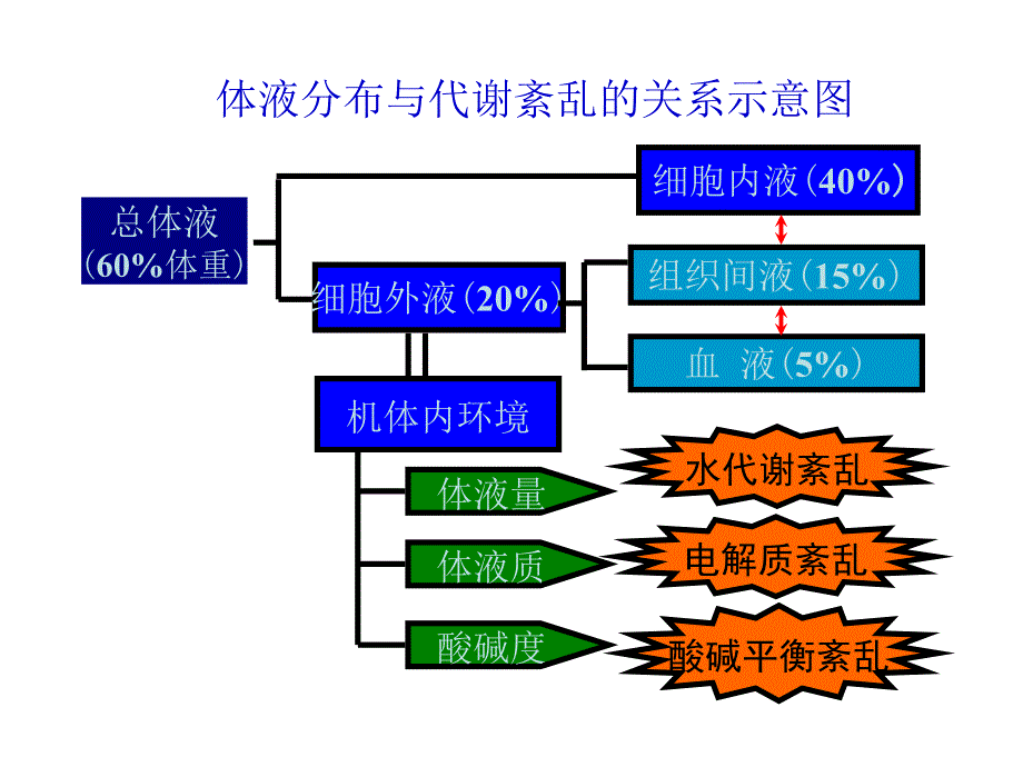 脱水水中毒课件_第2页