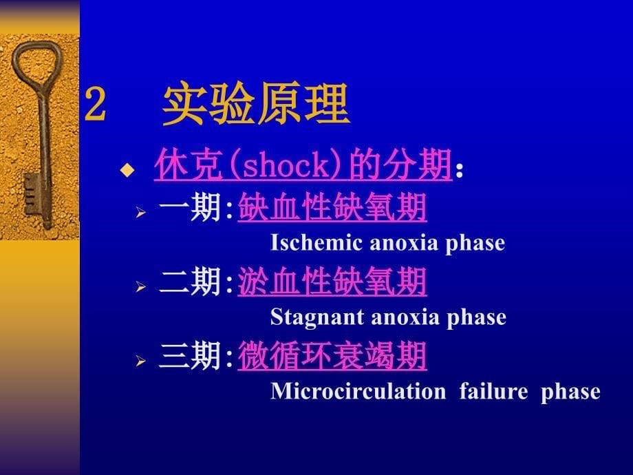 医学课件家兔急性失血性休克_第5页