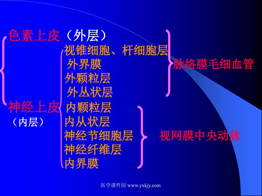 视网膜病教学课件_第4页