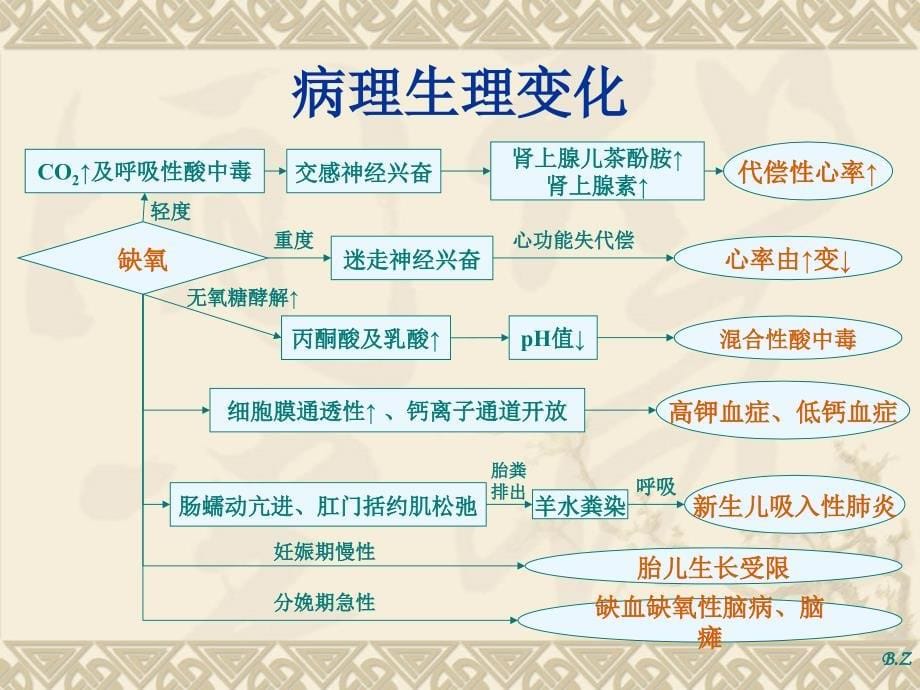 胎儿窘迫与胎膜早破医学_第5页