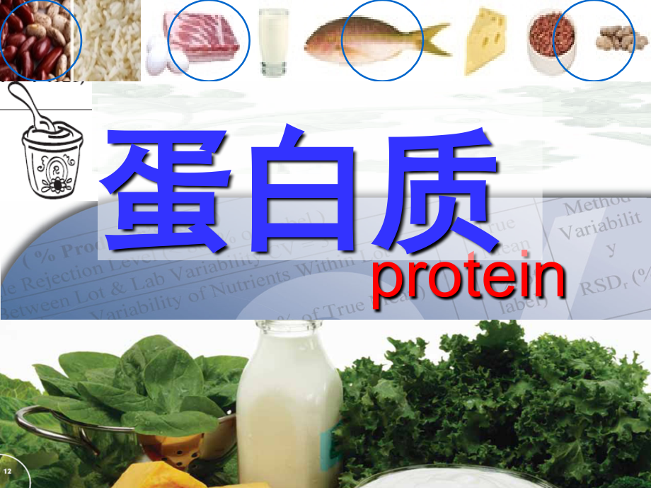 食品化学第三章蛋白质ppt课件_第1页