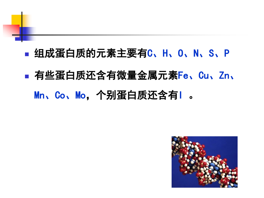 食品化学第三章蛋白质ppt课件_第3页