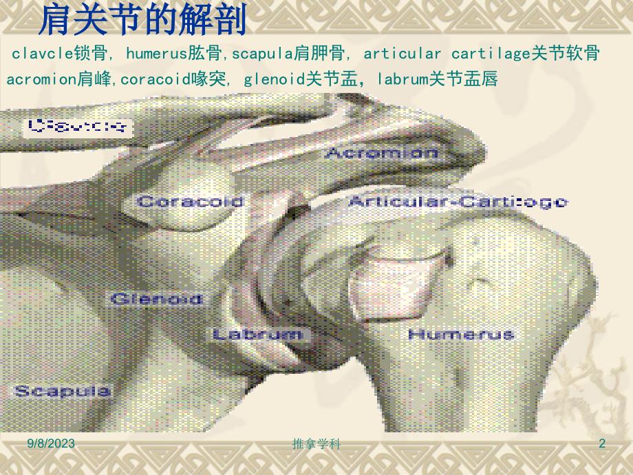 肩关节周围炎ppt课件_2_第2页