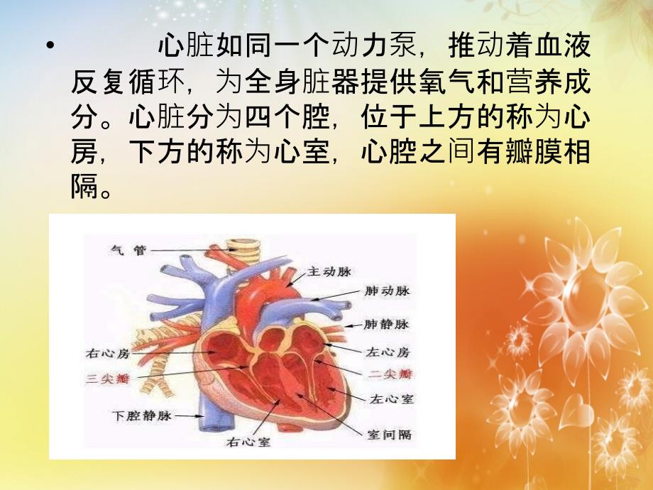 风湿性心脏病的护理查房专题课件.ppt_第3页