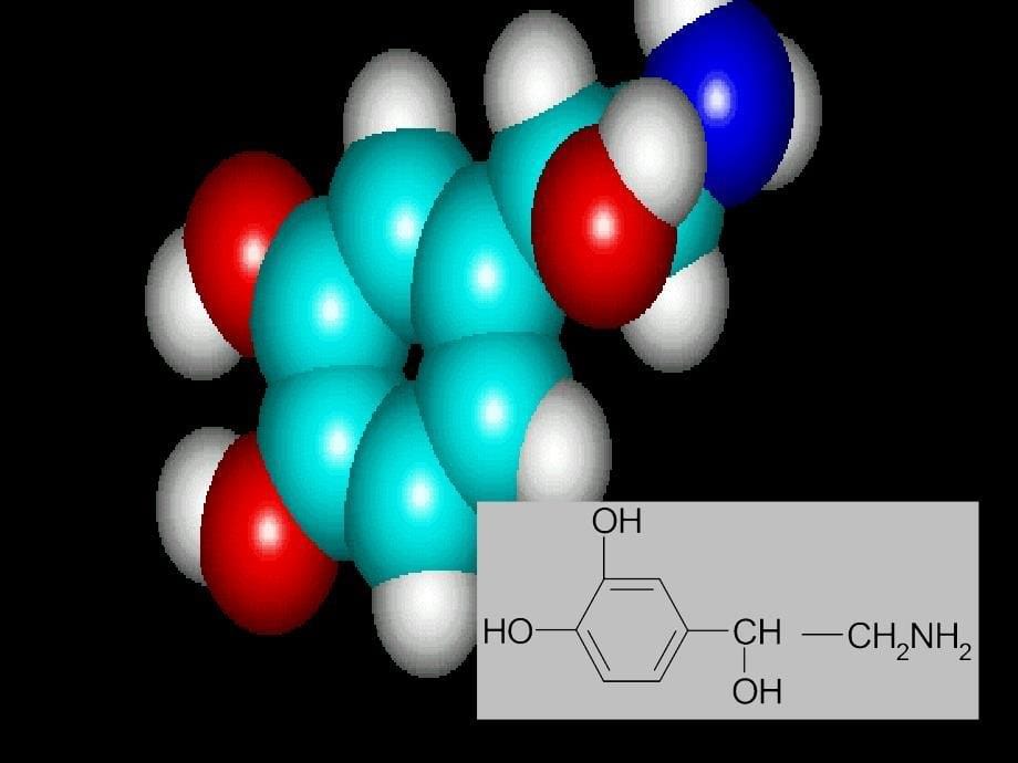 医学ppt课件第十章肾上腺素受体激动药_第5页