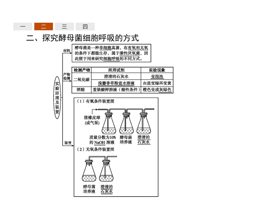 2017-2018学年高中生物人教版必修一同步课件：5.3atp的主要来源——细胞呼吸 _第4页