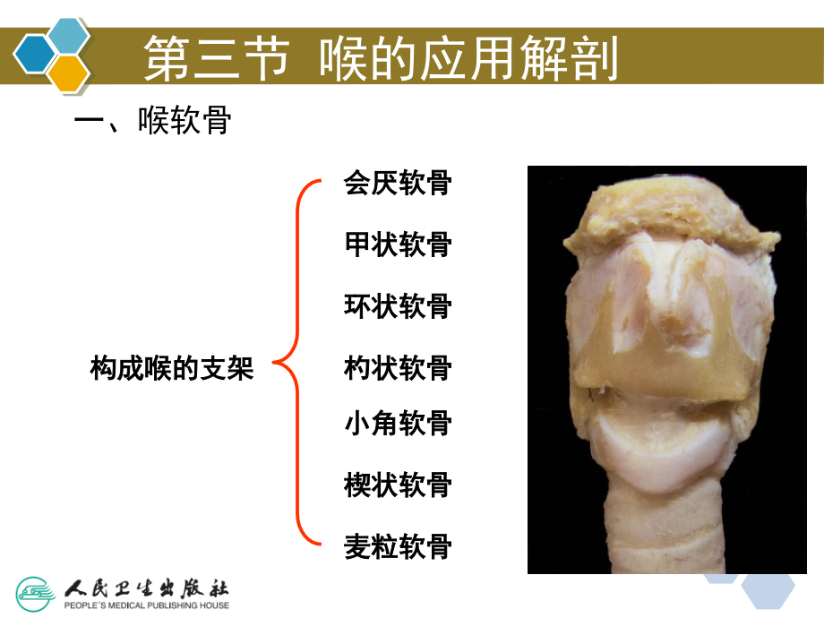 耳鼻咽喉头颈外科学第4篇喉科学_第4页