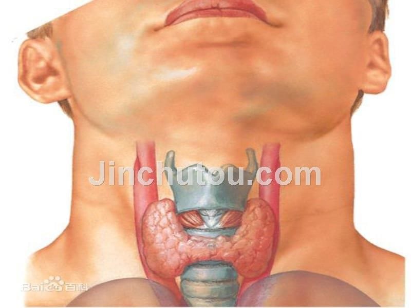 甲状腺大部分切除术医学_第5页