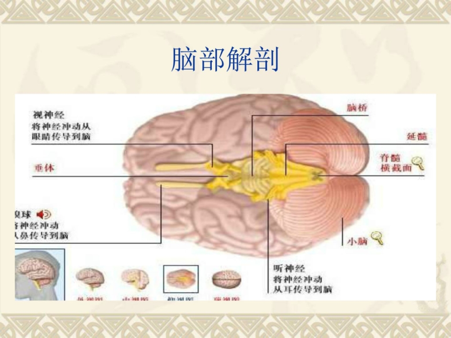 脑胶质瘤的放疗靶区勾画课件_第3页