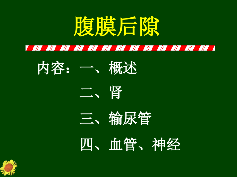 腹膜后隙课件_2_第2页