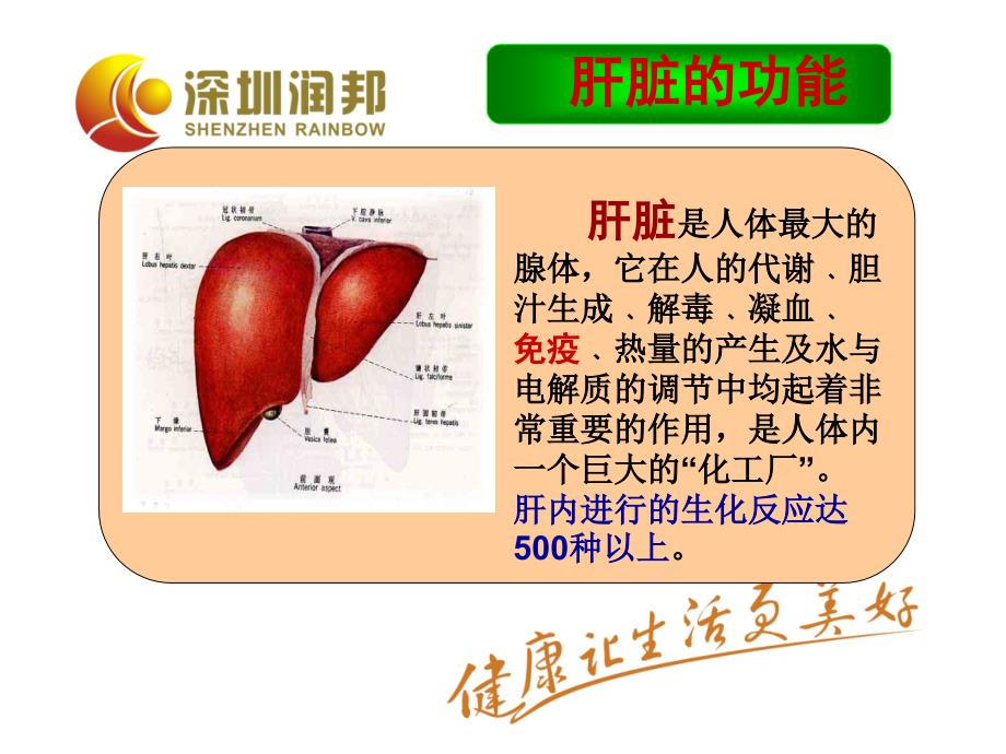 医学课件天然活性酶知识讲座_第2页