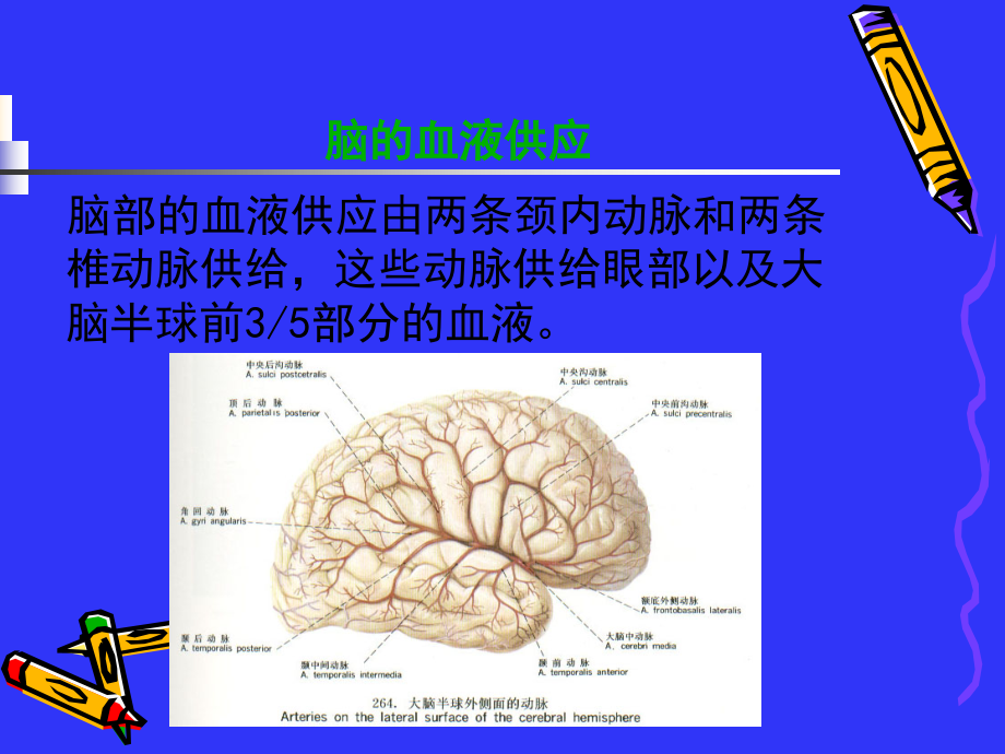 脑血管疾病护理ppt课件_第2页