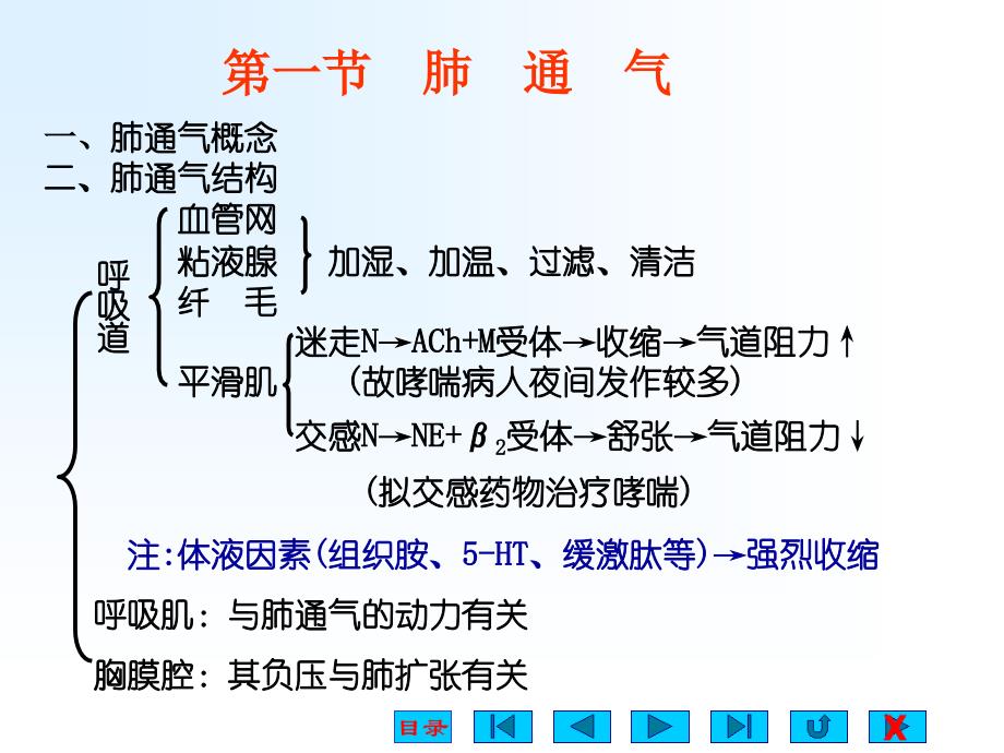 医学课件第五章呼吸_第3页