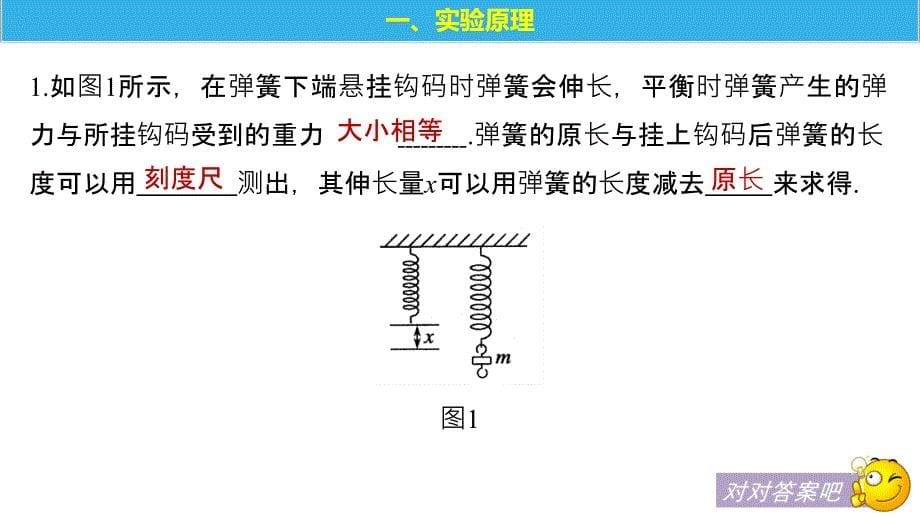 2018-2019物理新学案同步沪科版必修一课件：第3章 力与相互作用实验：探究弹力与弹簧伸长量的关系 _第5页