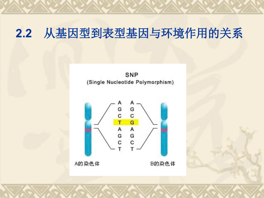 遗传学的三大定律ppt课件_第1页