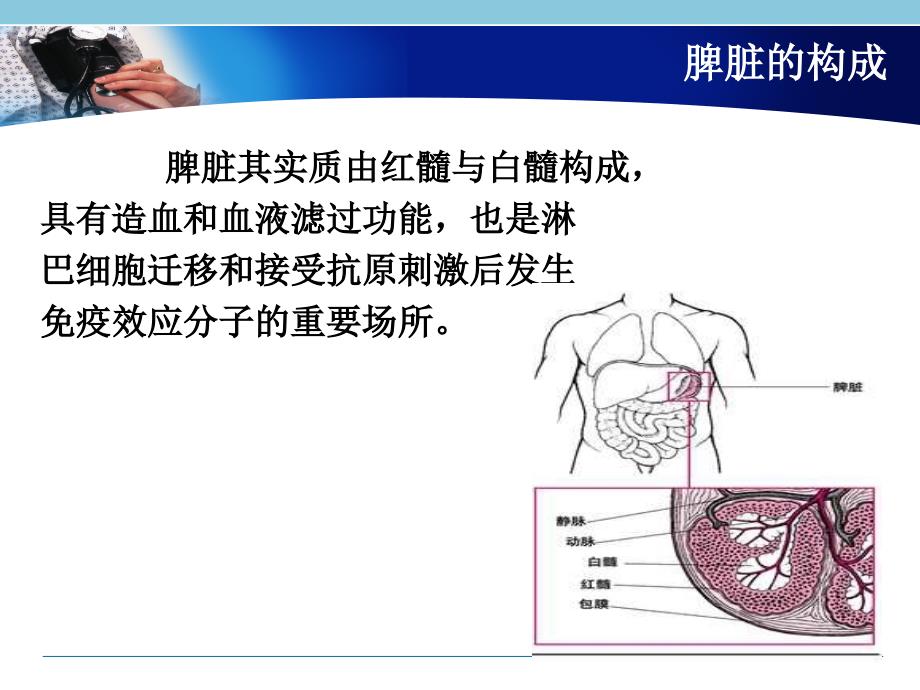 脾破裂的急救与护理急诊外科课件_第4页