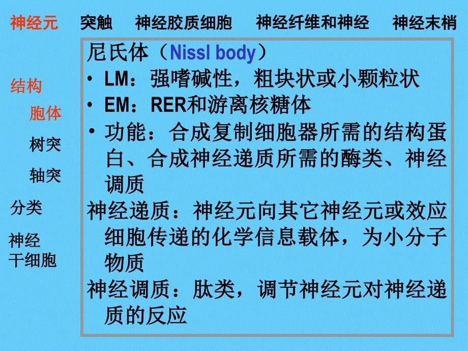 脑神经系统神经组织ppt课件_第5页